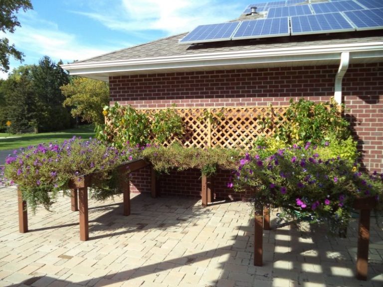 Accessible raised garden beds.